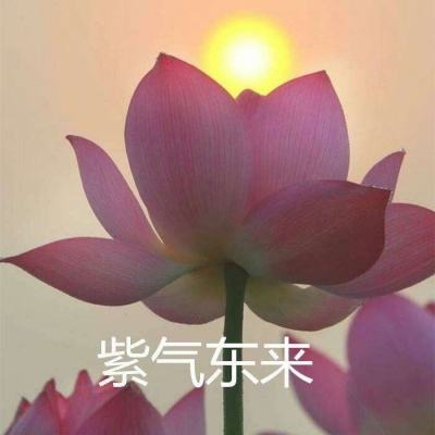 逆水寒手游庄园站app下载